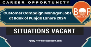 Customer Campaign Manager Jobs