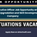 Chief Executive Officer Job Opportunity