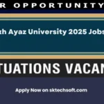 The Shaikh Ayaz University 2025 Jobs